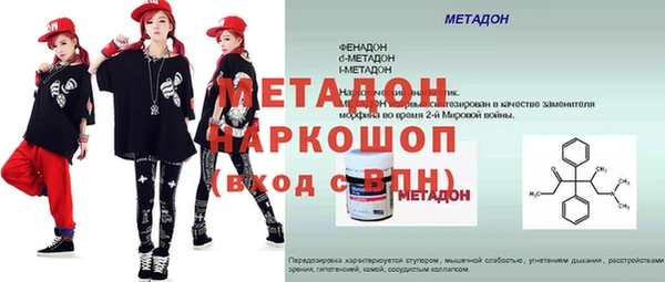 прущие грибы Богданович