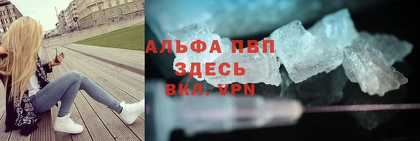 прущие грибы Богданович