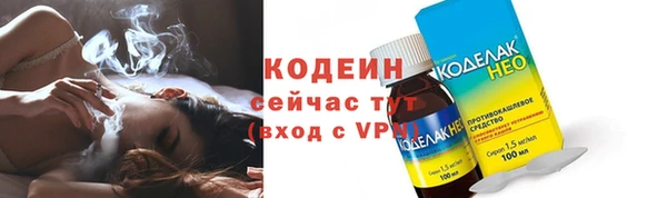 прущие грибы Богданович