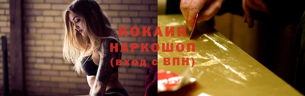 прущие грибы Богданович
