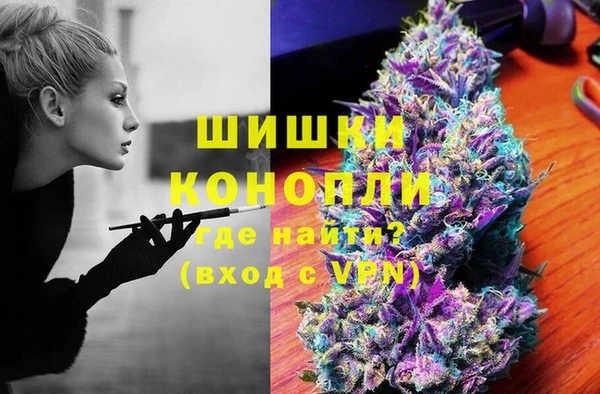 стаф Богородицк