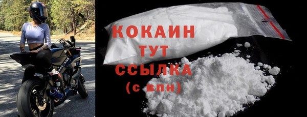 прущие грибы Богданович