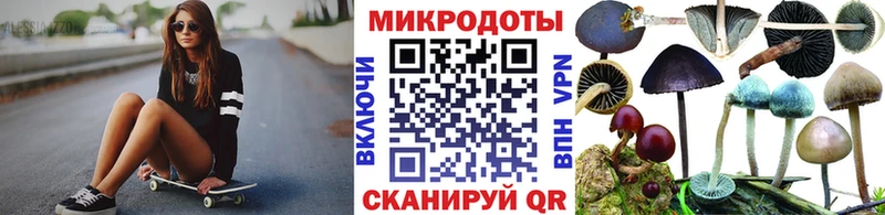 Купить где  Лебедянь  Галлюциногенные грибы Cubensis 